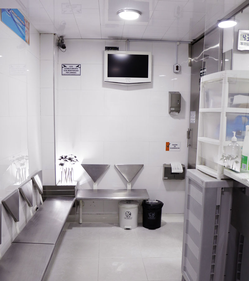 Atención ortodóntica